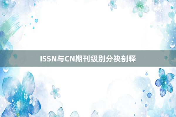 ISSN与CN期刊级别分袂剖释